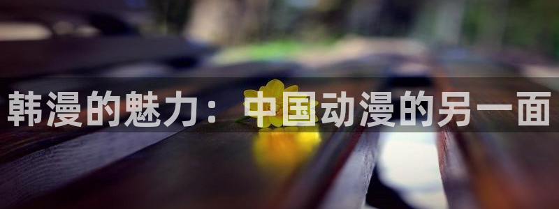 汗汗漫画网站首页：韩漫的魅力：中国动漫的另一面