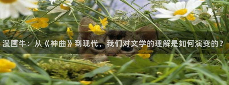 汗汗漫画大全