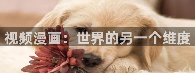 www.汗汗漫画