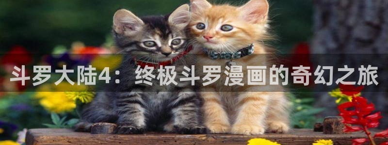 汗汗漫画免费观看入口