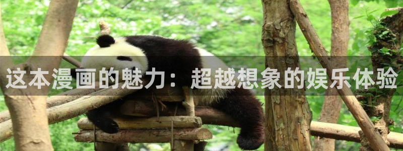 汗汗漫画在线进入入口：这本漫画的魅力：超越想象的娱乐体验