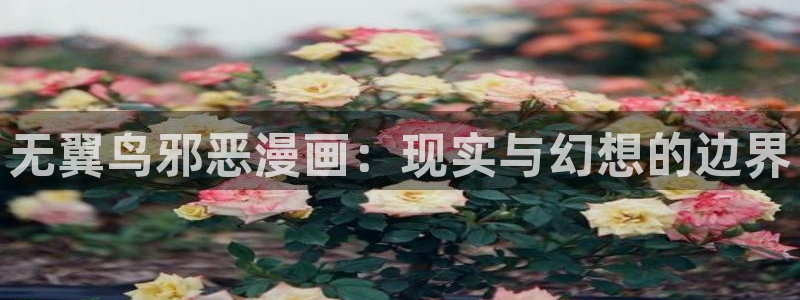 汗汗漫画日本的：无翼鸟邪恶漫画：现实与幻想的边界