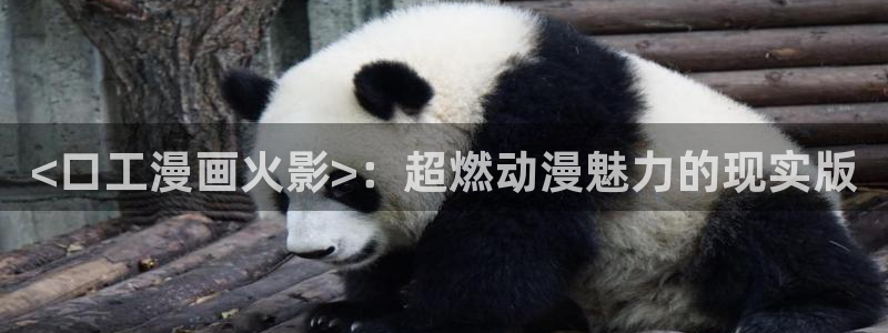 www.汗汗漫画.com：<口工漫画火影>：超燃动漫魅力的现实版