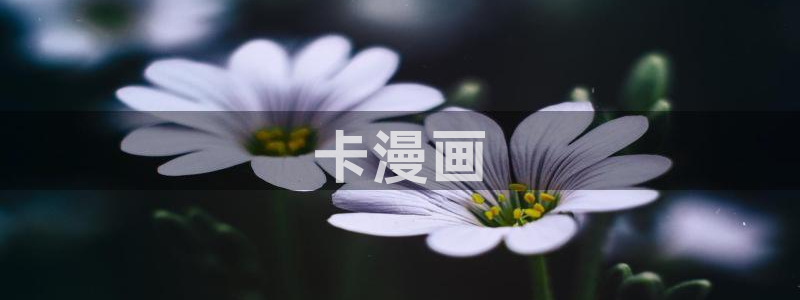 汗汗漫画在线：卡漫画
