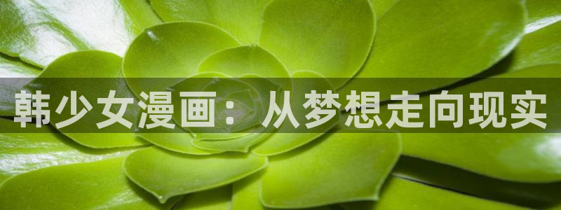 汗汗漫画书