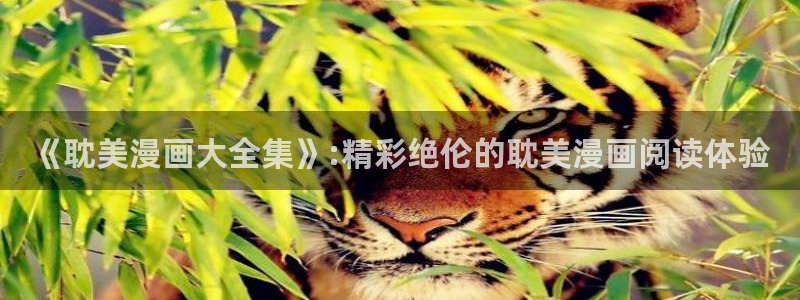 汗汗漫画首页网站