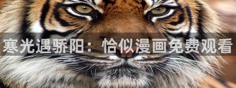 美丽新世界汗汗漫画：寒光遇骄阳：恰似漫画免费观看