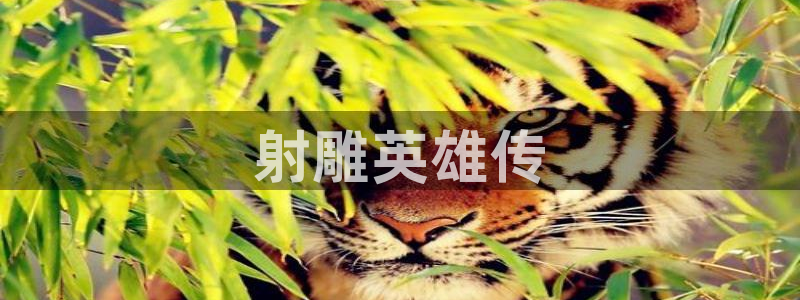 汗汗漫画韩漫在线观看