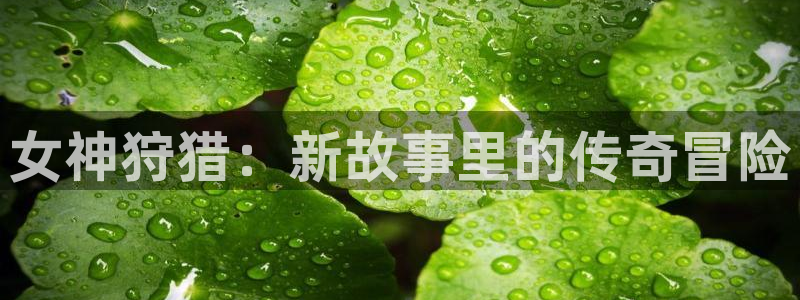 汗汗漫画在线观看nba入口