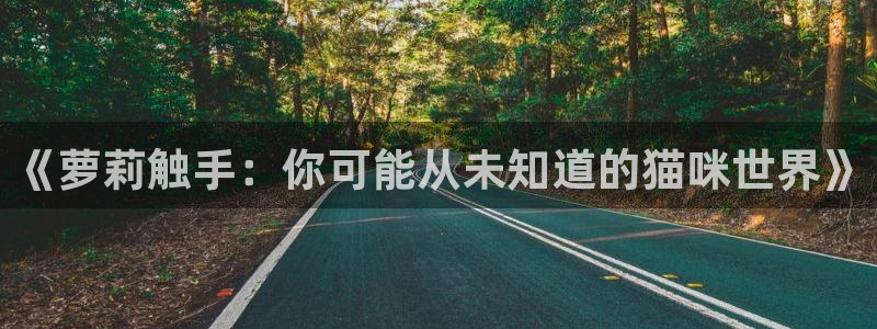 av羞羞汗汗漫画：《萝莉触手：你可能从未知道的猫咪世界》